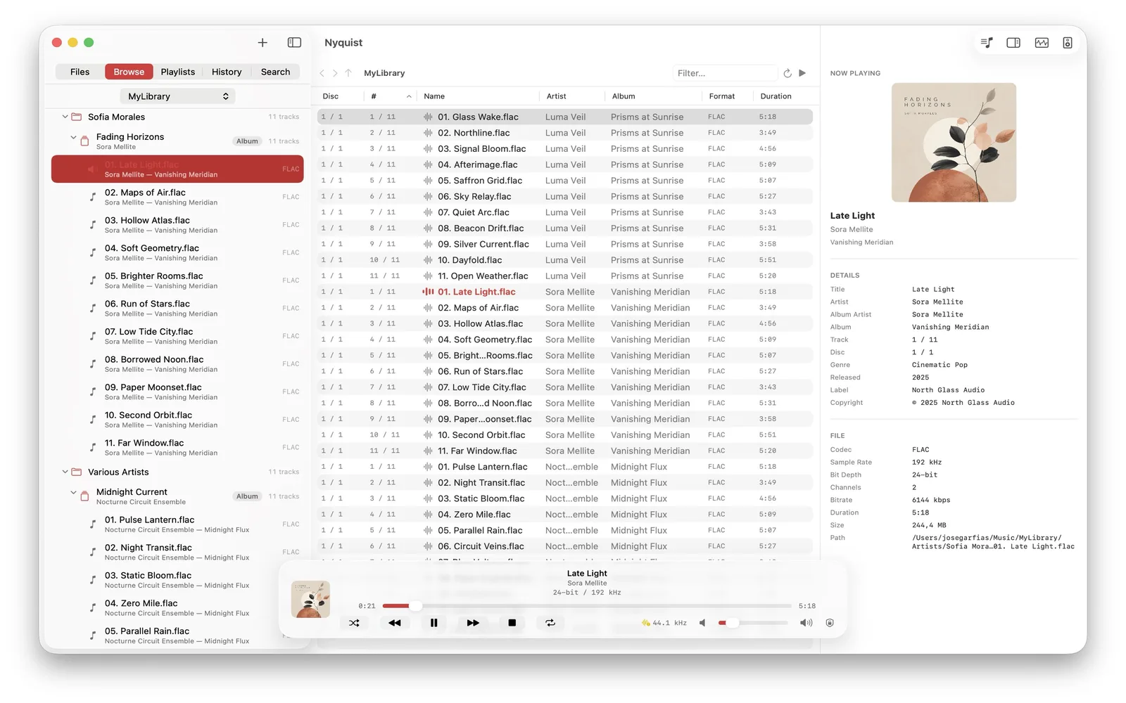 Nyquist on macOS now-playing view with cover art and complete metadata for the current track.